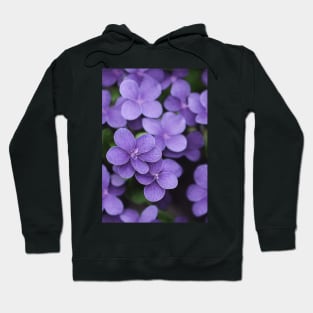 Beautiful Violet Flowers, for all those who love nature #131 Hoodie